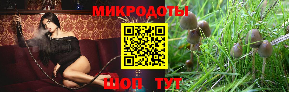 Галлюциногенные грибы ЛСД Зеленокумск